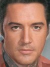 Elvis Presley, Robert Downey Junior, Al Pacino and Brad Pitt, Michael Fassbender