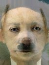 Adolf Hitler, Puppy