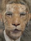 Lion and Tiger, Barack Obama