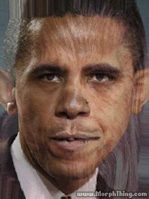 Barack Obama Barack Obama And Chewbacca Morphed Morphthing Com