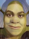 Shrek, Fiona Apple