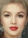 Marilyn Monroe, Sophie Ellis Bextor, Elizabeth Taylor, Paula DeAnda
