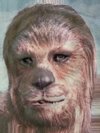 Chewbacca, Tiger, Monkey, Lion, Puppy
