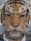 Tiger and Timbaland