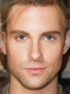 Britney Spears and Brad Pitt, Adam Levine