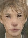 Tiger, Monkey, Lion, Puppy, Justin Bieber