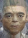 Yoda, Arnold Schwarzenegger and Barack Obama